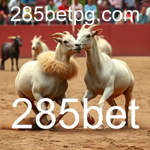A Tradição e Controvérsia da Rinha de Galos e a Influência do 285bet